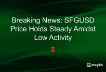 SFGUSD: Stagnation und Unsicherheit im Krypto-Markt