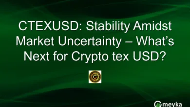 CTEXUSD: Stabilität im volatilen Krypto-Markt erklärt