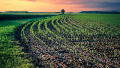 Coinbase-Aktivität wächst um 400 %: Ein Blick auf die Trends