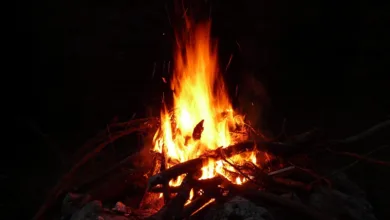 Sicherheitsfokus: Firelight bringt XRP Staking nach DeFi