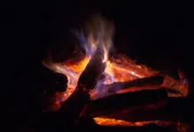 Robinhood erweitert Krypto-Dienste: Staking und Aktienhandel