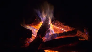 Robinhood erweitert Krypto-Dienste: Staking und Aktienhandel