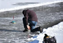 Strategien institutioneller Investoren im Krypto-Bärenmarkt