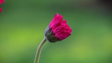 Mein Krypto-Portfolio 2026: Fokus auf Bitcoin und Strategie