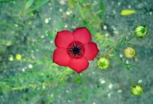 Zentralisierte Aufsicht: Ein Wendepunkt für den Krypto-Markt