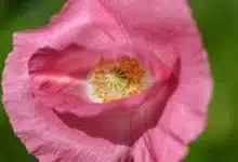 Polens Sejm setzt umstrittenes Krypto-Gesetz in Bewegung