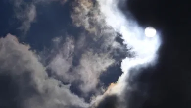 Ethereum vor Herausforderungen: Drohen neue Tiefststände?