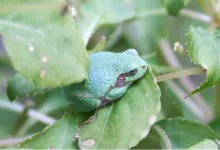 Binance erhält erste FSRA-Lizenz für regulierten Krypto-Handel