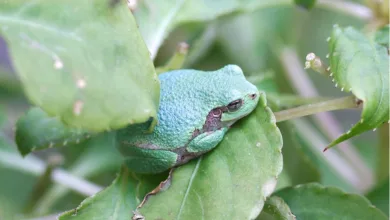 Binance erhält erste FSRA-Lizenz für regulierten Krypto-Handel