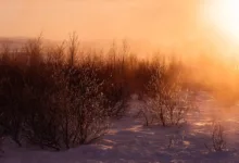 Solana-Durchbruch oder Bärenmarkt: Kursprognose für Dezember 2025