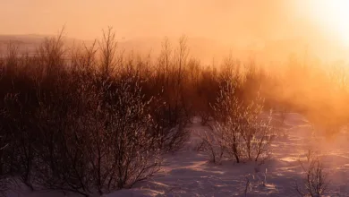 Solana-Durchbruch oder Bärenmarkt: Kursprognose für Dezember 2025