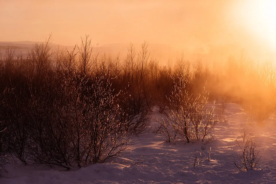 Solana-Durchbruch oder Bärenmarkt: Kursprognose für Dezember 2025