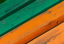 Kryptomarkt im Wandel: Cathie Wood sieht neue Chancen