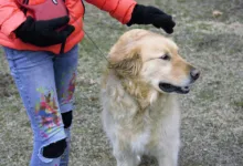 Die besten Online Casinos im Dezember 2025 für Spieler