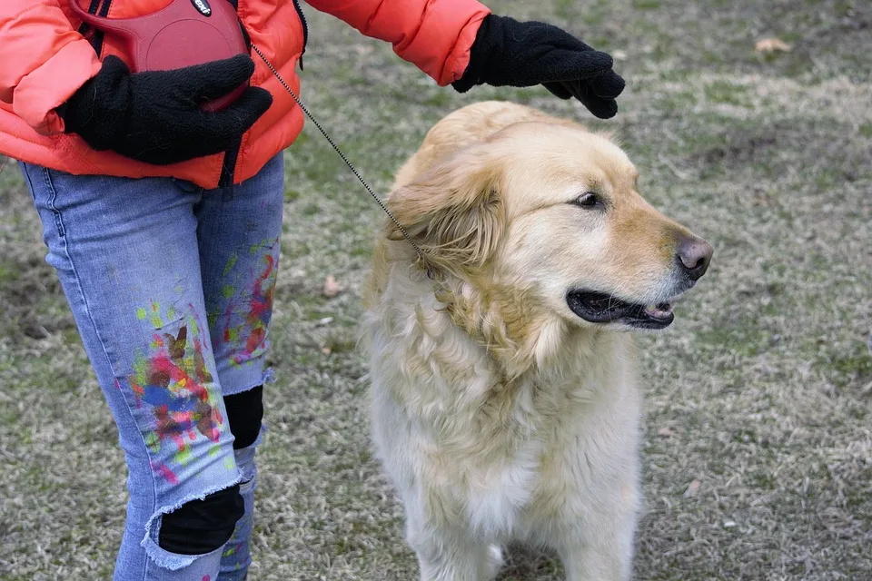 Die besten Online Casinos im Dezember 2025 für Spieler