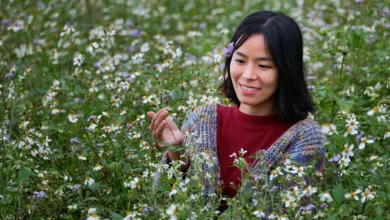 Kryptowährungen: Die Zukunft der Vermögensverwaltung in Asien