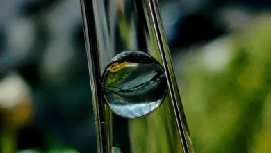 Klarheit im Krypto: Die neuen Regeln für Unternehmen