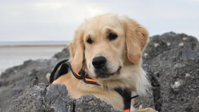 Kryptohandel für Privatkunden: Neuer Service von BPCE in Sicht