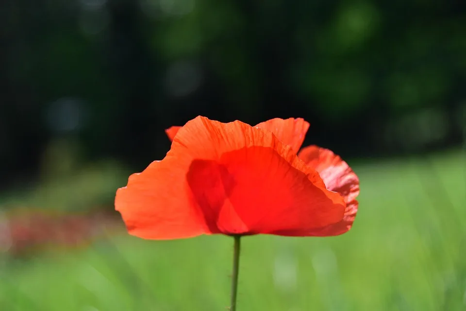 CZ räumt Klatsch um Tintin nach Dubai-Event im Nu aus