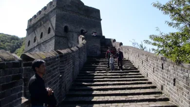 Ethereum-Whales setzen auf Aufstieg über 4.000 US-Dollar