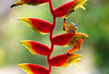 JPMorganChase plant Krypto-Handel für institutionelle Klienten