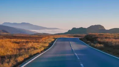 Wale setzen auf Aster und Pudgy Penguins trotz Marktturbulenzen