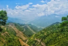 BitMine setzt auf ETH-Staking: Strategieänderung im Fokus