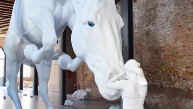 Krypto-Automaten: Vertrauen durch Transparenz und Sicherheit