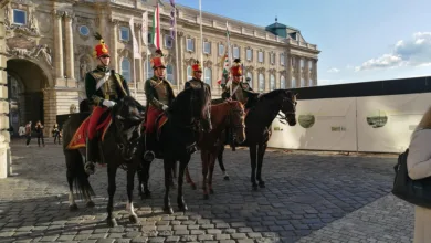 Europa öffnet den Weg für den Handel mit Krypto-ETNs