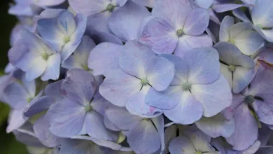 Voller Einsatz beim Winter Wonderland Finale am 5. Januar