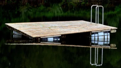 Kryptowährungen im Aufwind: Makroökonomie als treibende Kraft