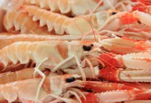 Erholungszeichen am Markt: RWA-Token im Fokus der Investoren