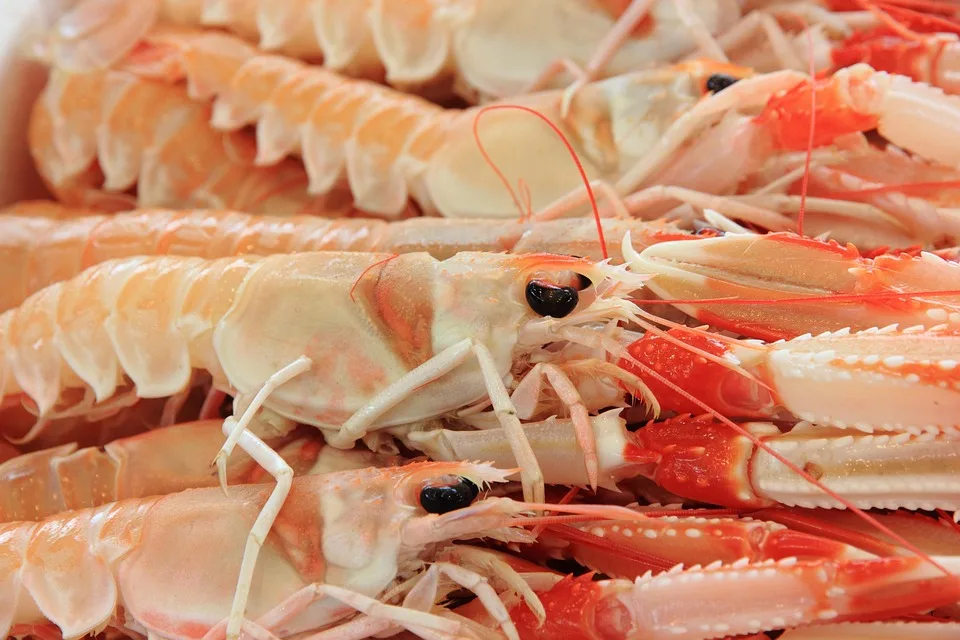 Erholungszeichen am Markt: RWA-Token im Fokus der Investoren