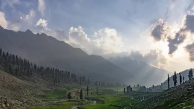 Pakistan und Binance: Fortschritte bei Krypto-Initiativen