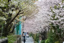 Neue Bankregeln öffnen Tür für Innovation im Kryptomarkt