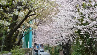 Neue Bankregeln öffnen Tür für Innovation im Kryptomarkt