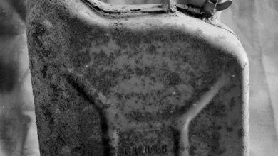 Solana-Kurs unter Druck: Kann der Januar die Wende bringen?