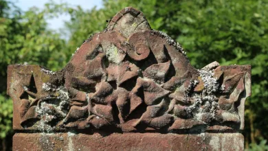 Mutuum Finance: Letzte Chance auf einen günstigen Einstieg