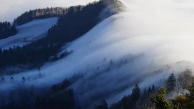 Schweizer Kryptounternehmen erobern den Markt in Abu Dhabi