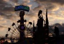 Cardano: Kursrückgang und schwache Geldflüsse prägen November