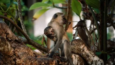 Kryptowährungen im Abwärtstrend: Anleger blicken besorgt auf 2026