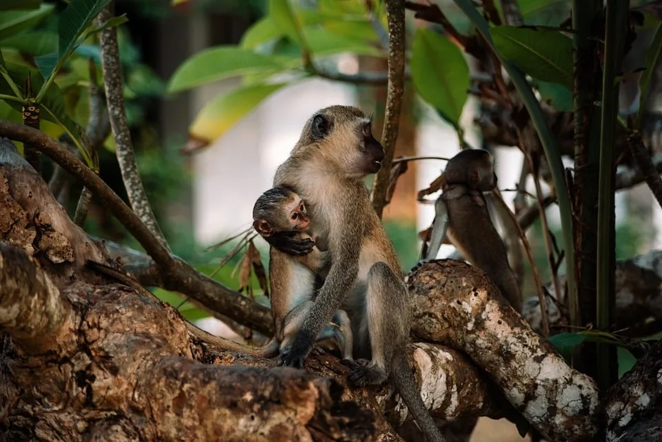 Kryptowährungen im Abwärtstrend: Anleger blicken besorgt auf 2026