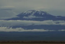 Coinbase im Krise: Preisprognose und neue Strategien in Sicht