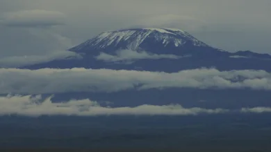 Coinbase im Krise: Preisprognose und neue Strategien in Sicht