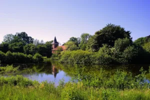 Bitcoin-Kurs im Stillstand: Ethereum und Solana stark unterwegs