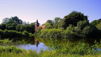 Bitcoin-Kurs im Stillstand: Ethereum und Solana stark unterwegs