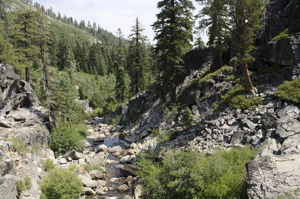 Trump-Familie und der fällt Bitcoin: Ein Markt im Sinkflug