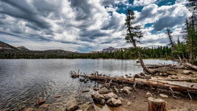 Bitcoin: Hohe Risiken und heftige Verluste im Trend