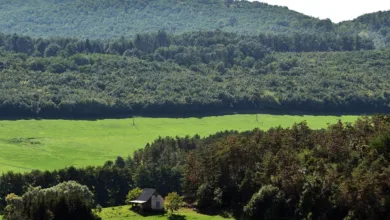 Krypto und Datenschutz: SEC diskutiert neue Regulierungen