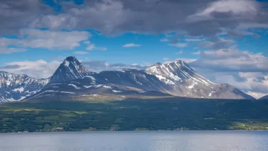 Robinhood erweitert Angebot: Neue Möglichkeiten für Anleger in Asien